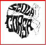 le site de SCOLA CORSA